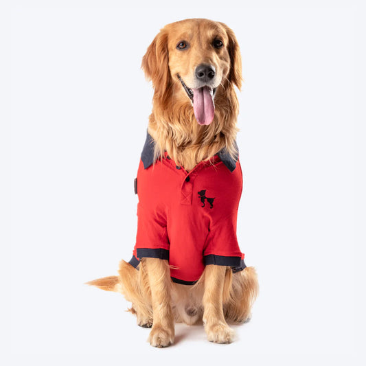 HUFT Polo T-Shirt For Dog - Red-1