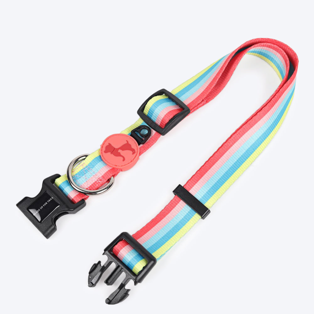 HUFT Pride Rainbow Popsicle Dog Collar - Heads Up For Tails