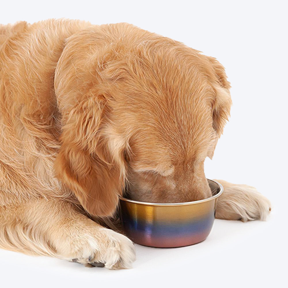 HUFT Pride Steel Dog Bowl - Heads Up For Tails