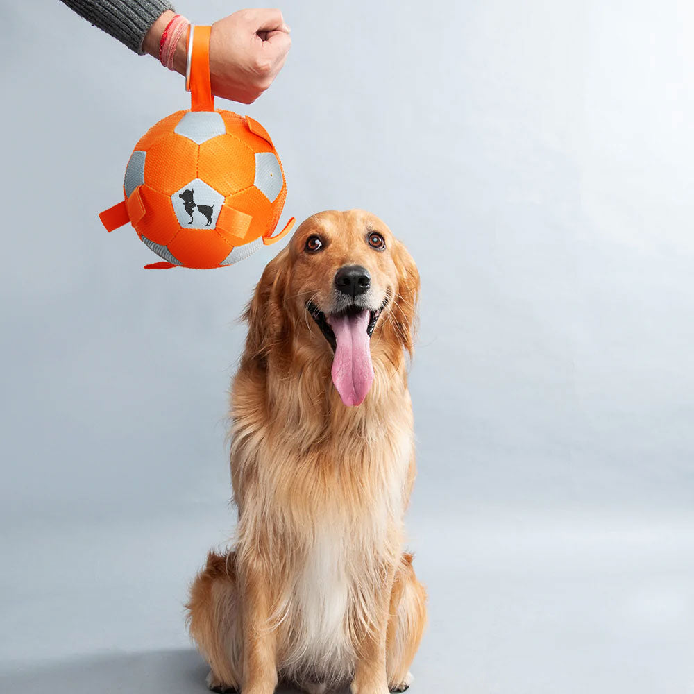 HUFT Quintessential Rubber Football For Pets - Heads Up For Tails