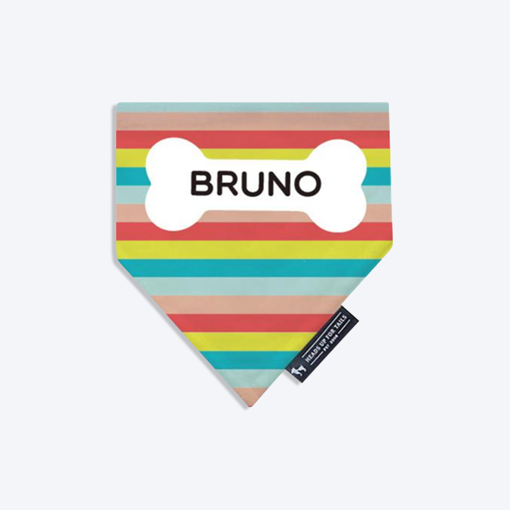 HUFT Rainbow Popsicle Personalised Dog Bandana - Heads Up For Tails