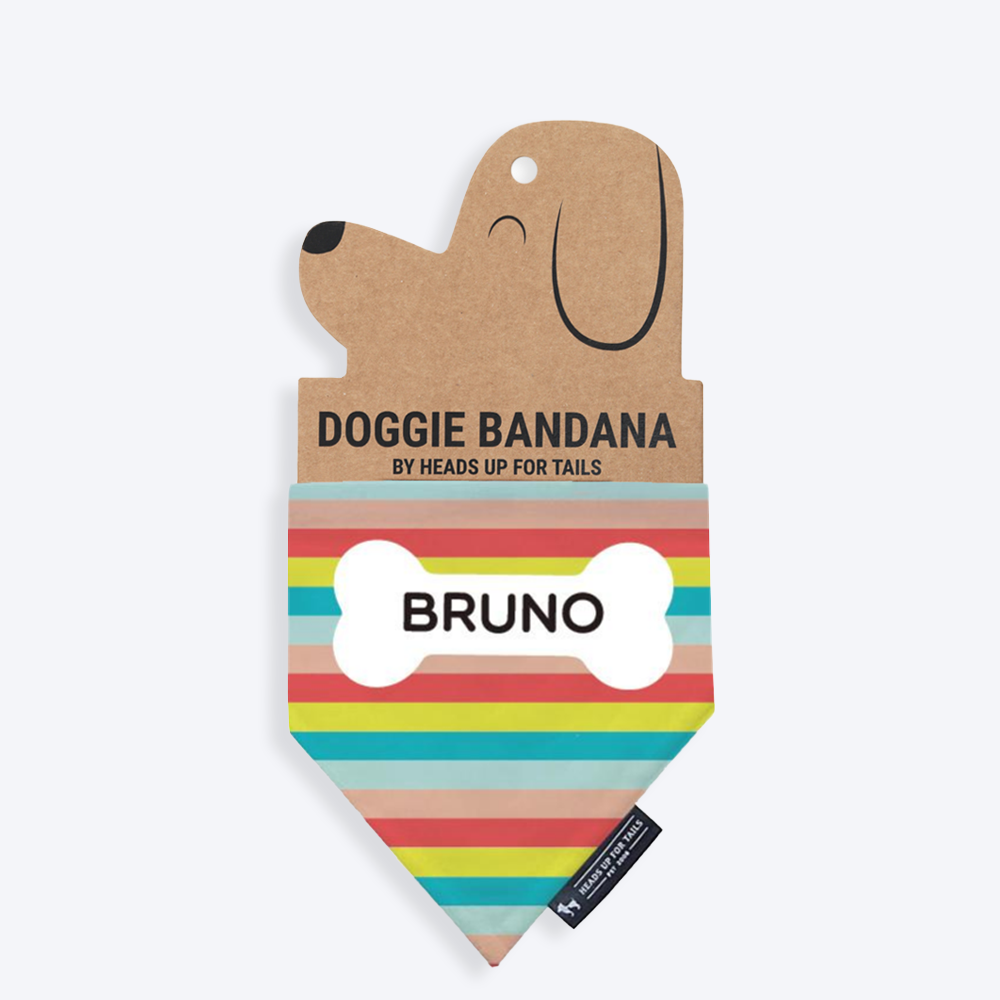 HUFT Rainbow Popsicle Personalised Dog Bandana - Heads Up For Tails