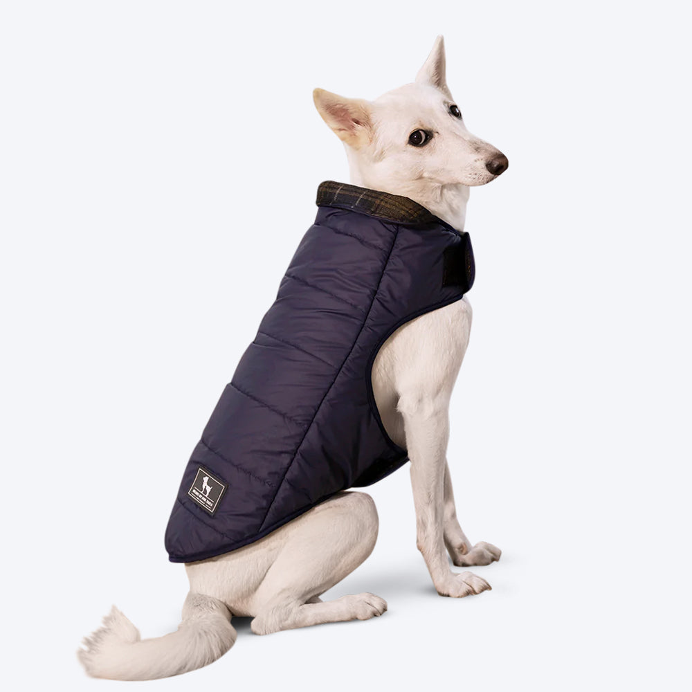 HUFT Reversible Dog Jacket - Blue - Heads Up For Tails