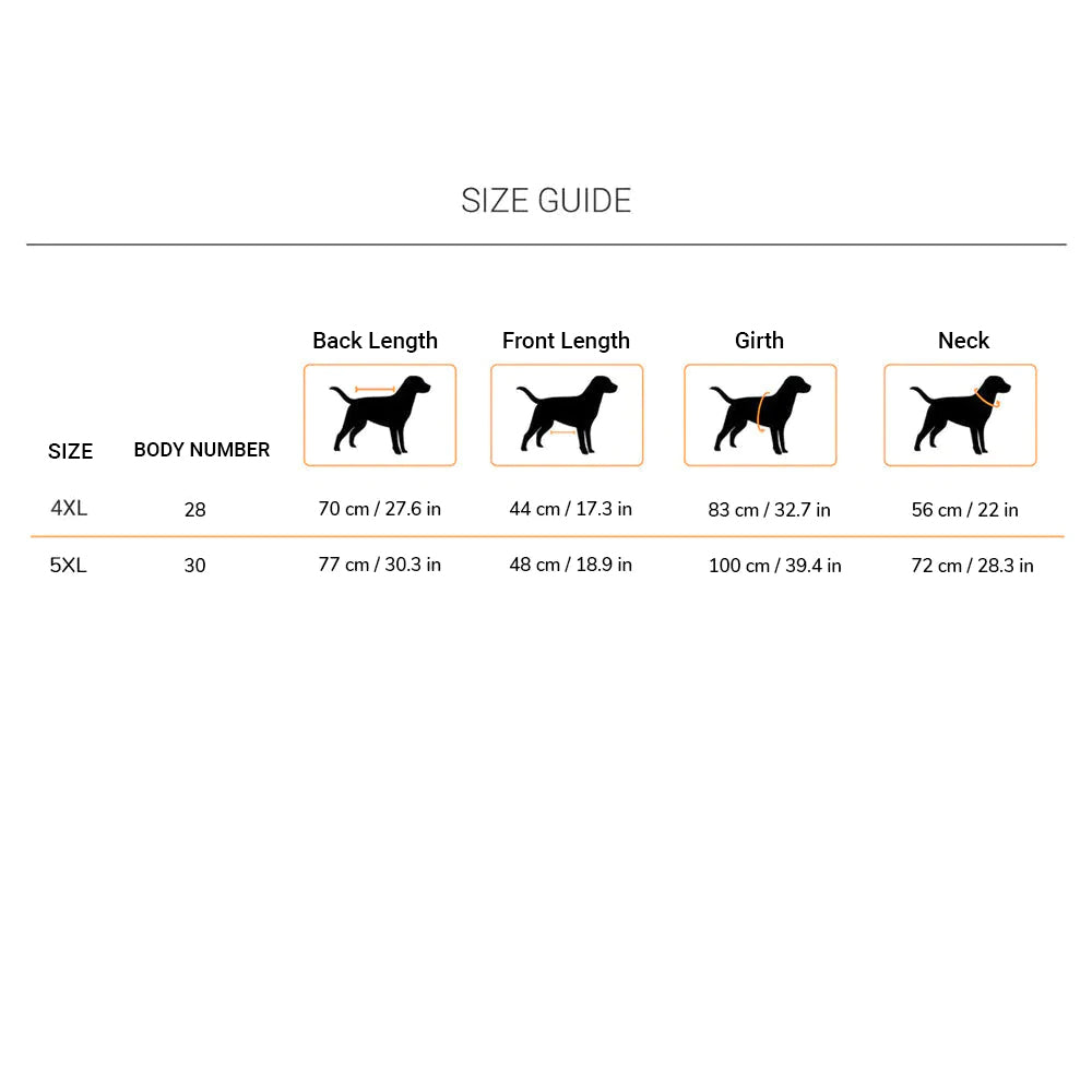 HUFT Shine Bright Like A Golden T-shirt - Heads Up For Tails