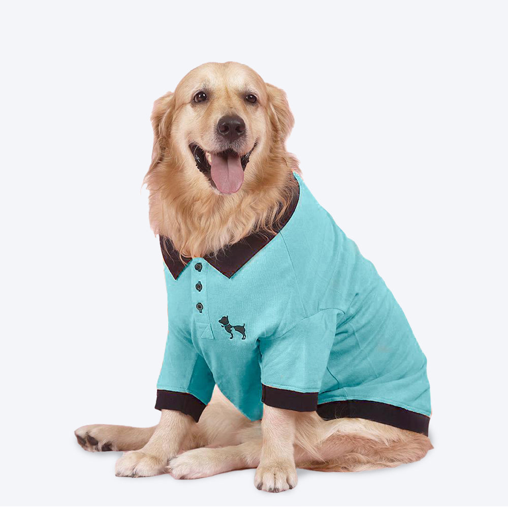 HUFT Solid Polo Dog T-Shirt - Blue - Heads Up For Tails