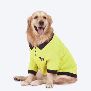 HUFT Solid Polo Dog T-Shirt - Lemon Green - Heads Up For Tails