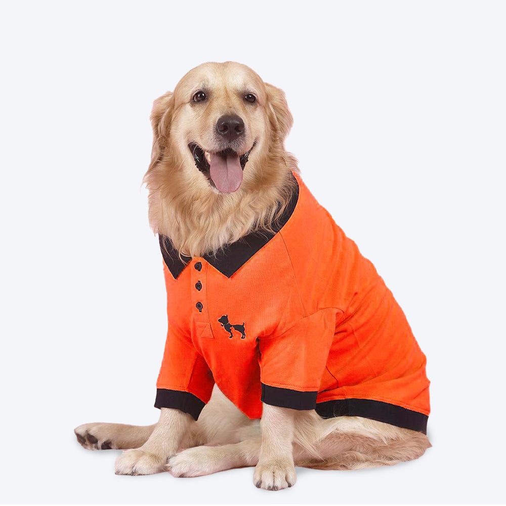 HUFT Solid Polo Dog T-Shirt - Orange - Heads Up For Tails