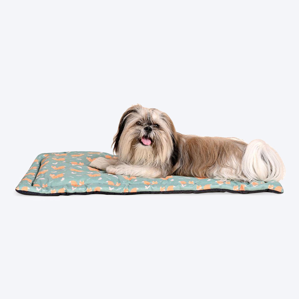 HUFT Springtime Spirit Dog & Cat Mat-7