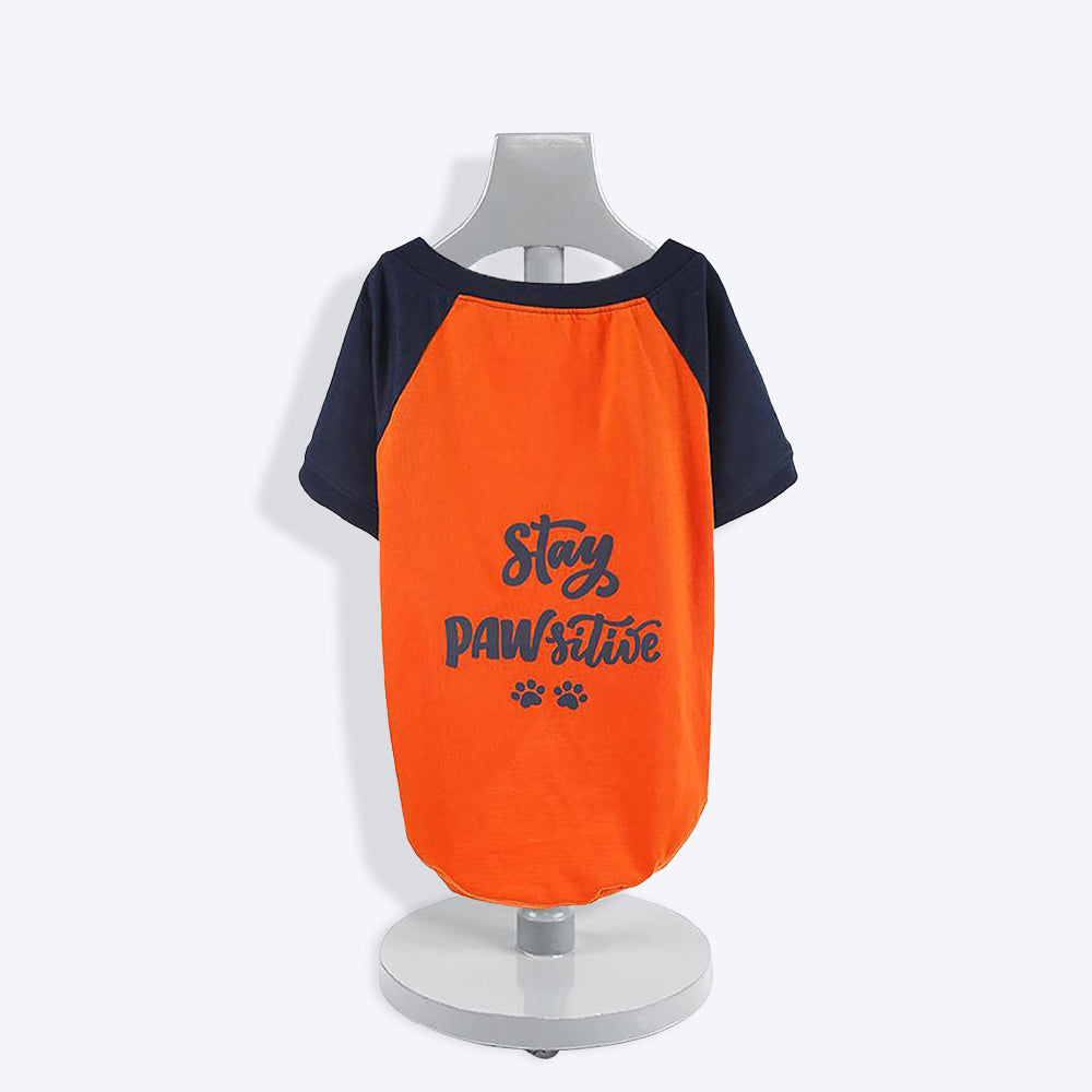 HUFT Stay Pawsitive Dog T-shirt - Heads Up For Tails