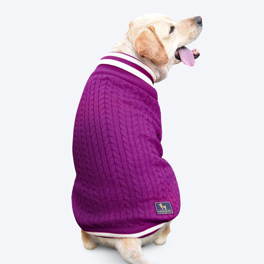 HUFT Striped Cable Knit Dog Sweater - Wine - Heads Up For Tails
