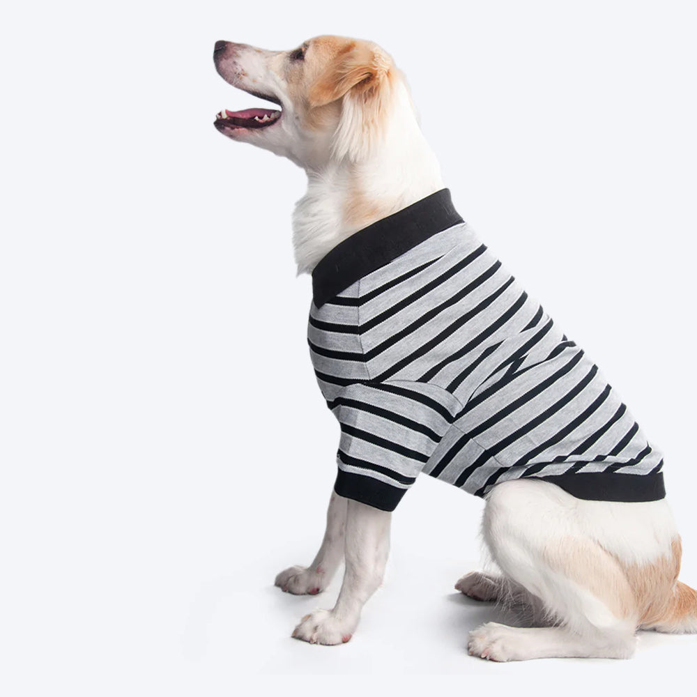 HUFT Striped Polo Dog T-Shirt - Grey - Heads Up For Tails
