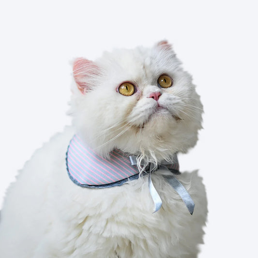 HUFT Striped Scarf For Cats and Puppies - Heads Up For Tails