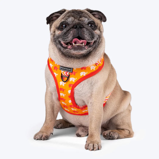 HUFT Summer Legacy Printed Dog Harness - Heads Up For Tails