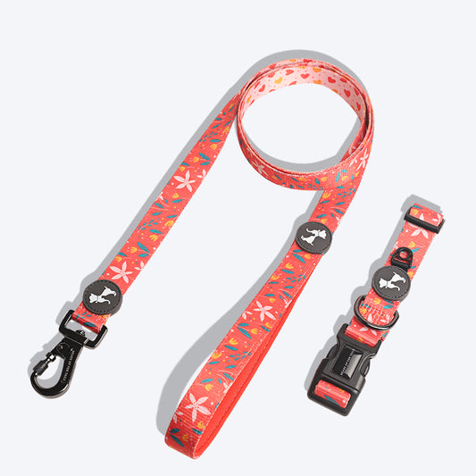 HUFT Summer Rapture Dog Collar and Leash Set - Heads Up For Tails