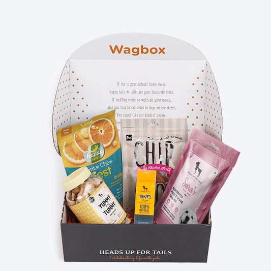 HUFT Toss Me A Treat Gift Pack - Heads Up For Tails