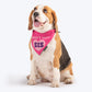 HUFT World's Best Sis Dog Bandana - Heads Up For Tails