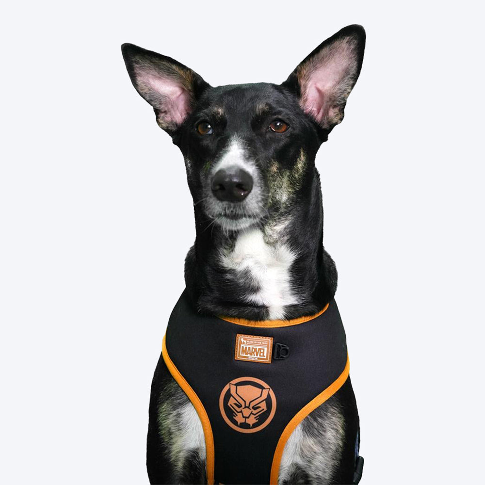 HUFT X©Marvel Black Panther Reversible Dog Harness - Heads Up For Tails