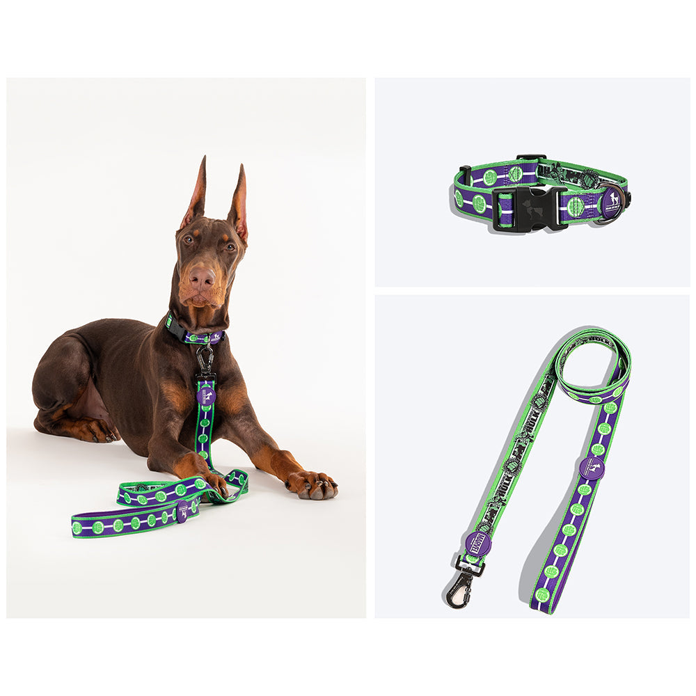 HUFT X©Marvel 2.0 Hulk Printed Dog Collar And Leash Set - Heads Up For Tails