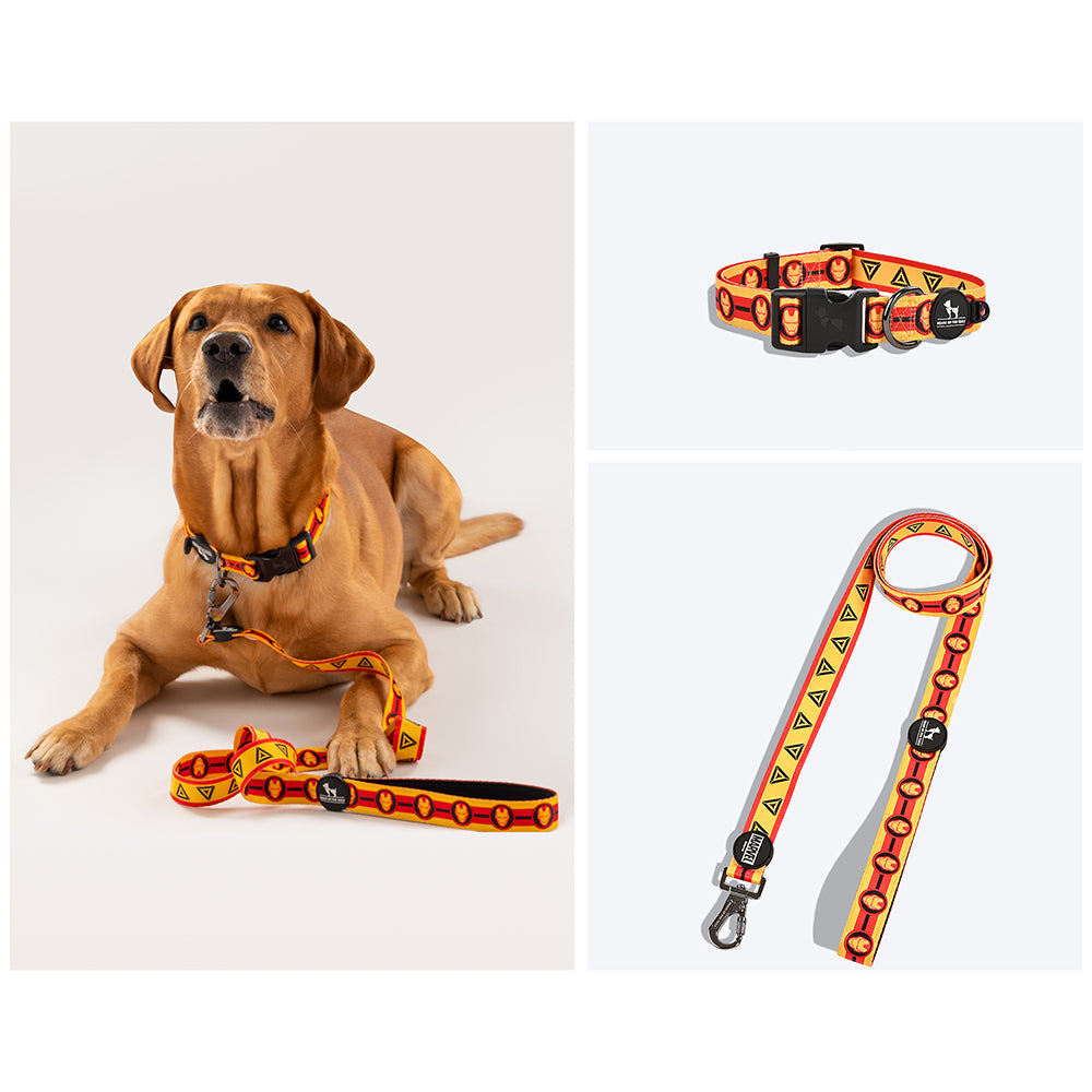 HUFT X©Marvel 2.0 Iron Man Printed Dog Collar And Leash Set - Heads Up For Tails