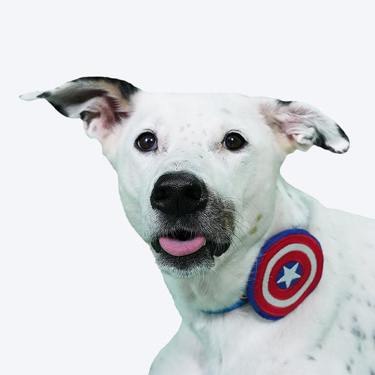 HUFT X©Marvel Captain America Collar Insert For Dogs - Red - Heads Up For Tails