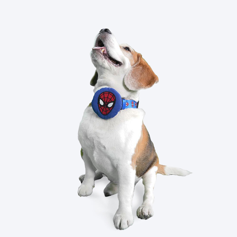 HUFT X©Marvel Spider-Man Collar Insert For Dogs - Blue - Heads Up For Tails