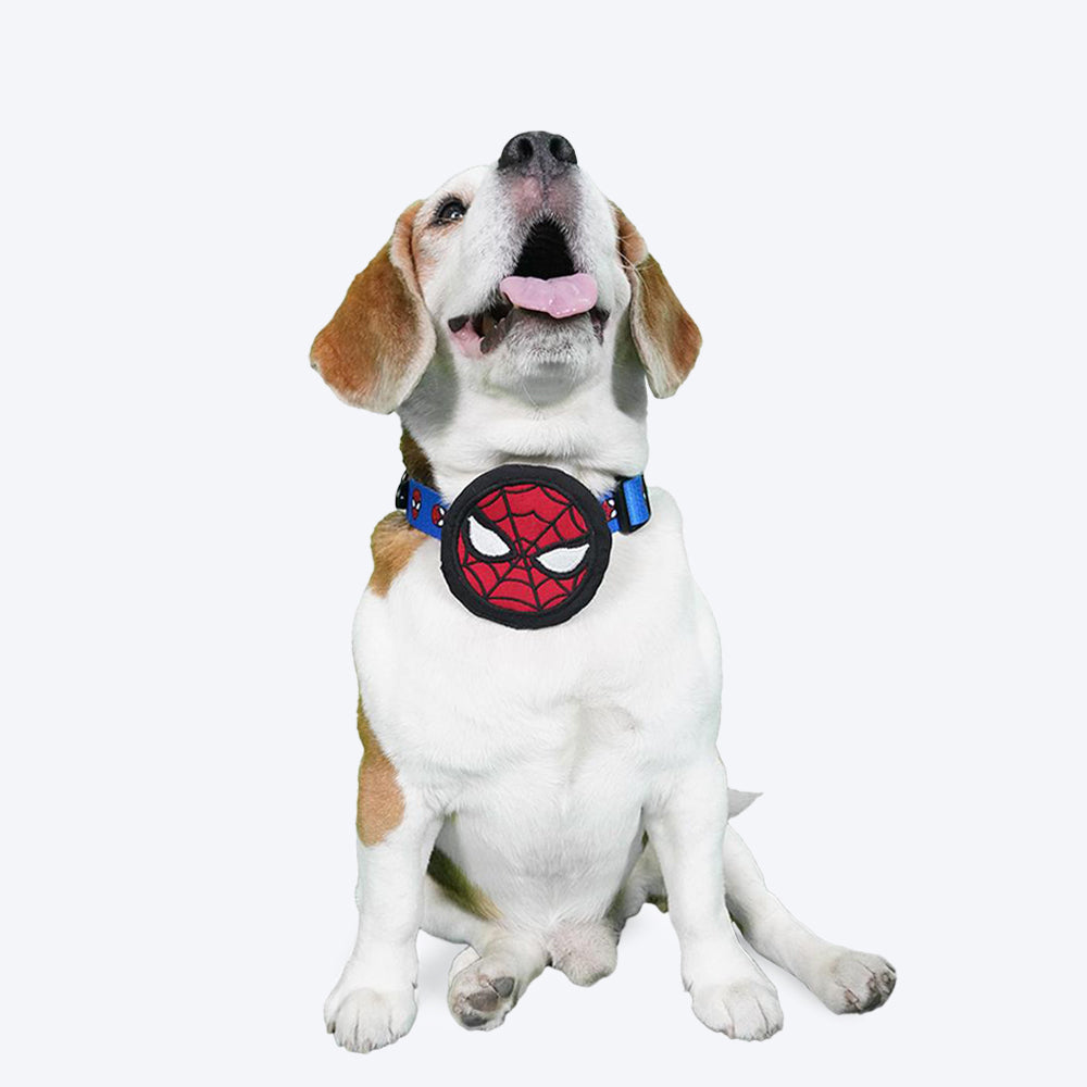 HUFT X©Marvel Spider- Man Collar Insert For Dogs - Red - Heads Up For Tails
