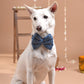 HUFT The Indian CollectiveZig Zag Indigo Print Dog Bow Tie with Collar