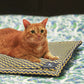 HUFT Stardust Dog & Cat Mat - Heads Up For Tails