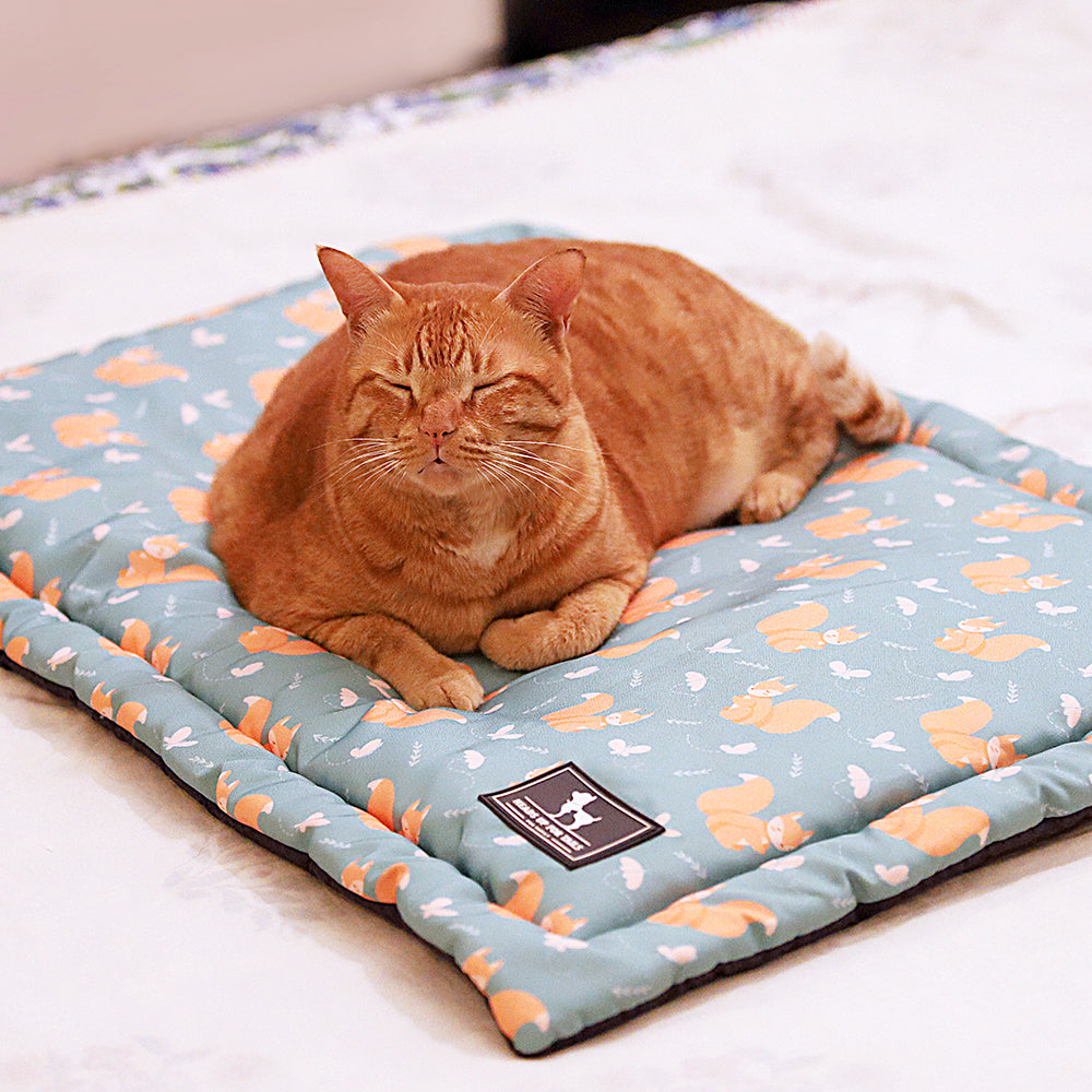 HUFT Springtime Spirit Dog & Cat Mat - Heads Up For Tails