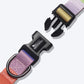 HUFT Follow the Rainbow Dog Collar - Heads Up For Tails