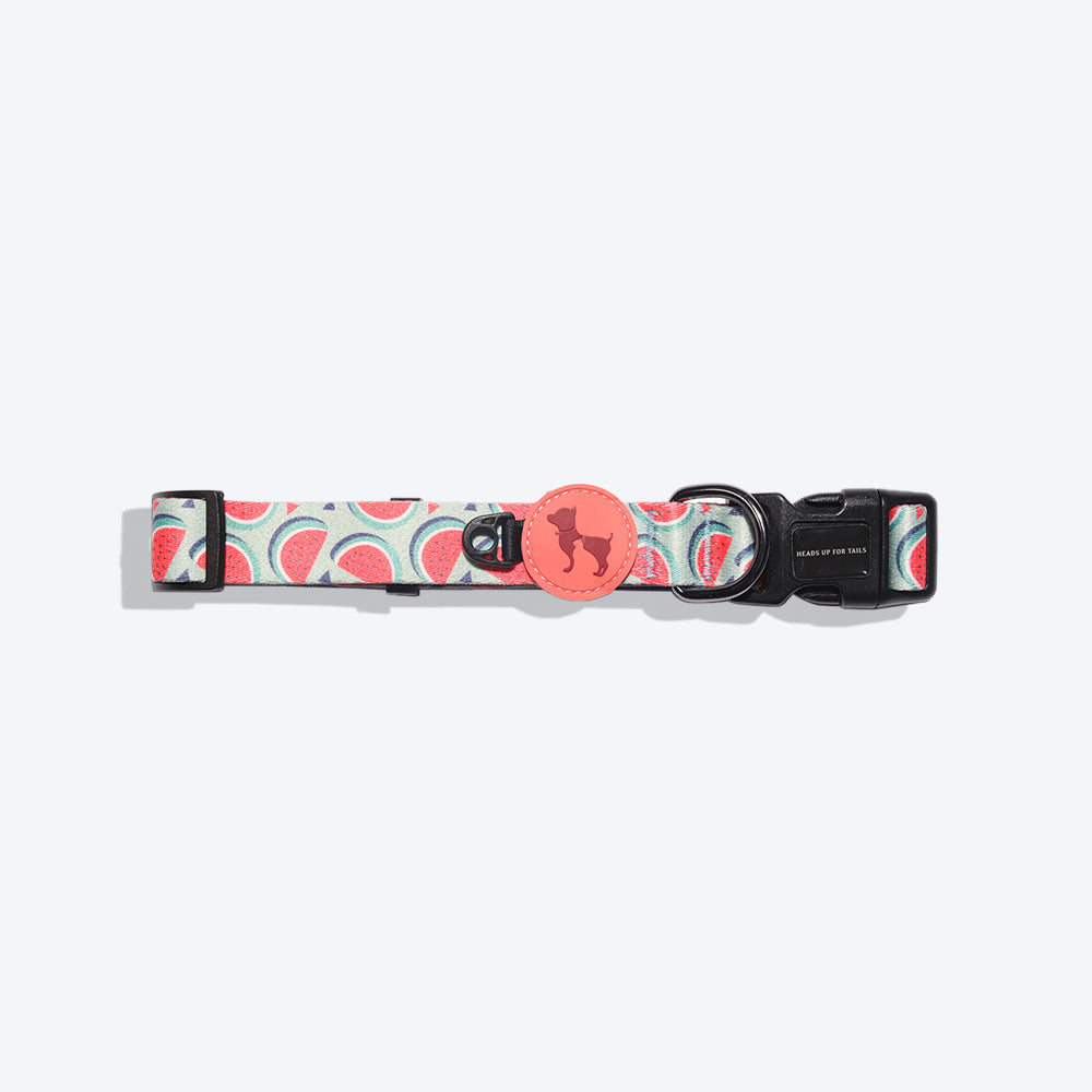 HUFT Garden Party Summer Love Nylon Dog Collar - Heads Up For Tails