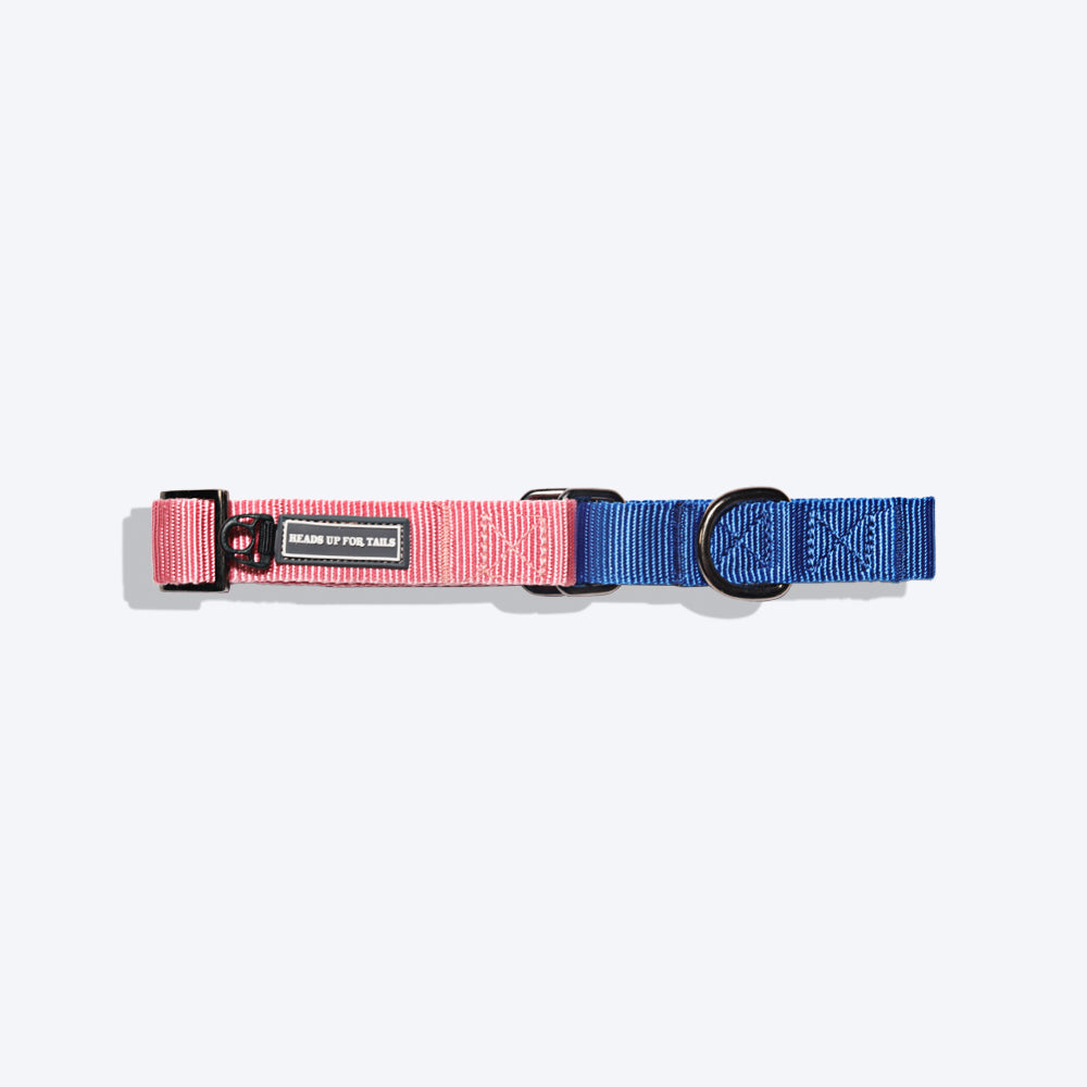 Ezydog martingale dog clearance collar