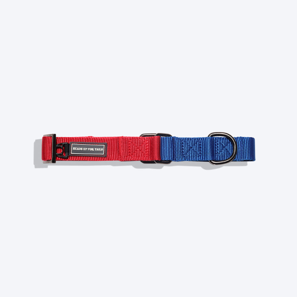 Ezydog martingale dog outlet collar