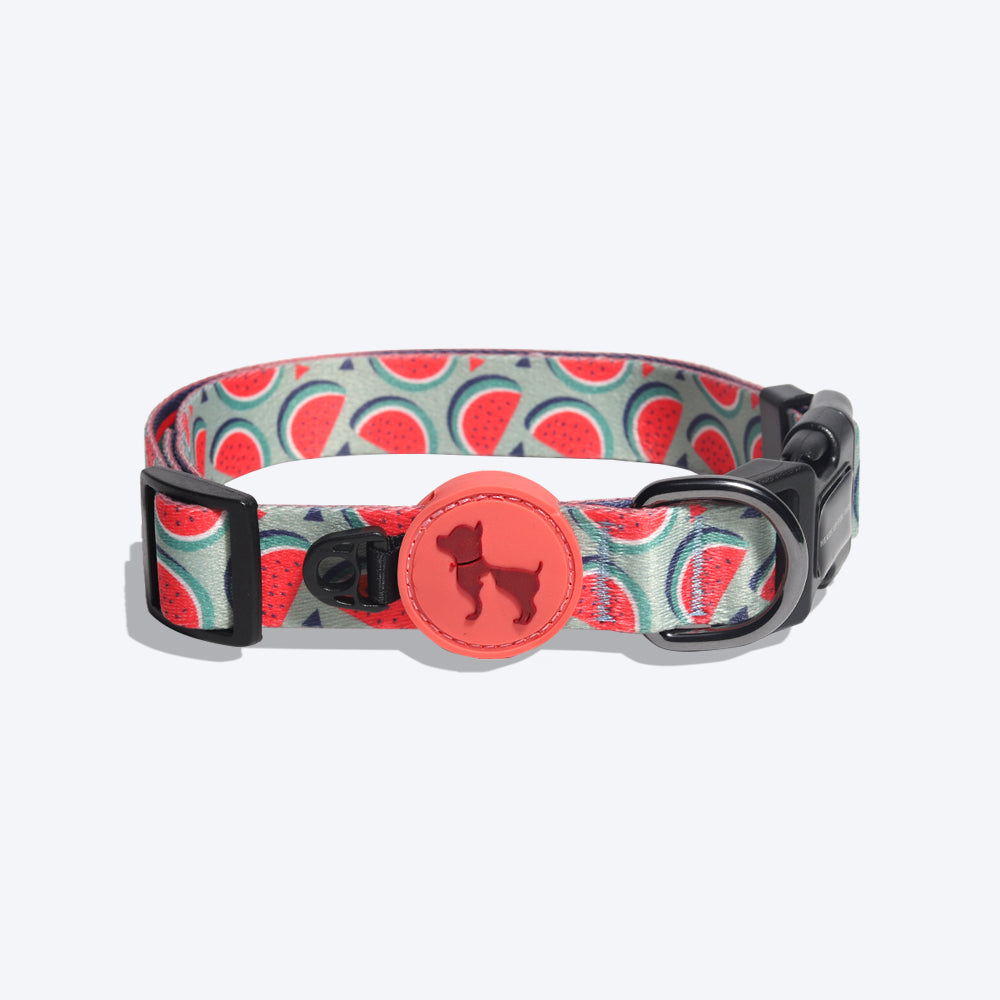 HUFT Garden Party Summer Love Nylon Dog Collar - Heads Up For Tails