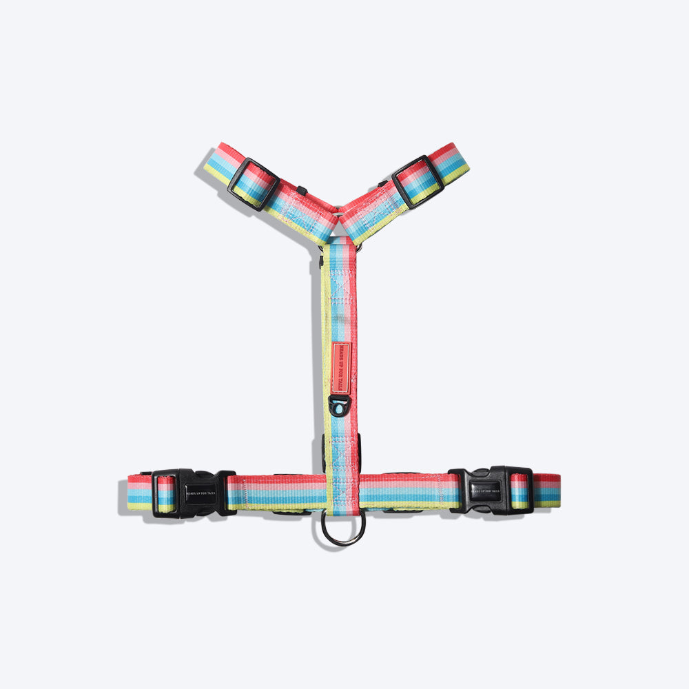 HUFT Pride Rainbow Popsicle Dog H-Harness