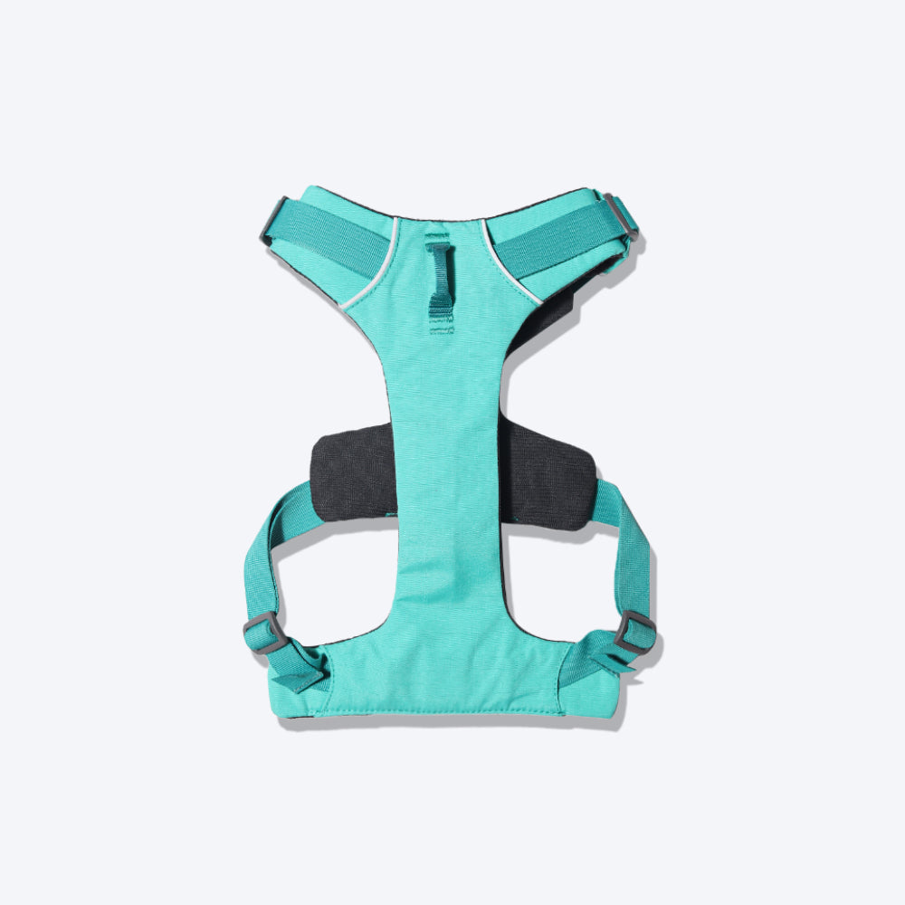 Ruffwear Front Range Dog Harness - Aurora Teal - Heads Up For Tails