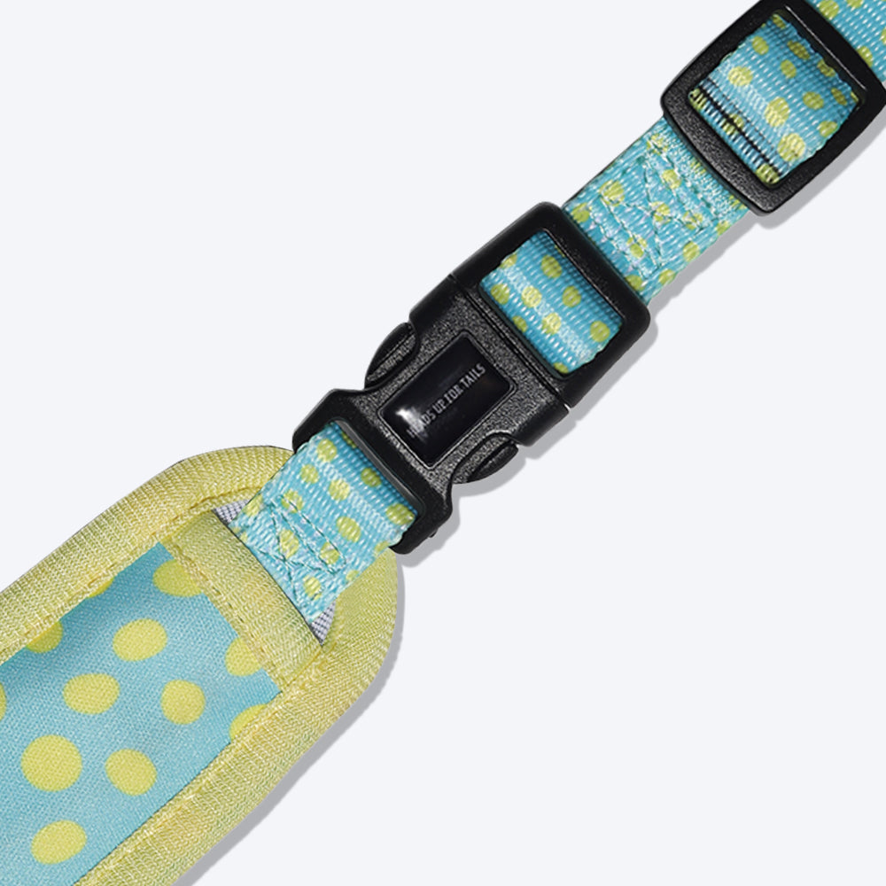 HUFT Daisy Bell Reversible Dog Harness - Sky Blue - Heads Up For Tails