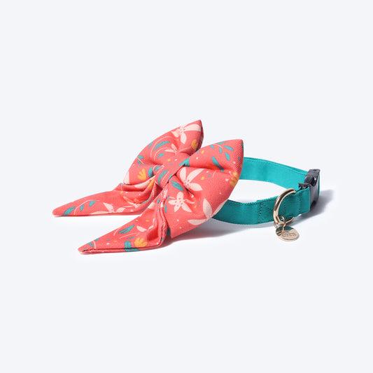 HUFT Summer Rupture Dog Collar with Free Bow Tie-1