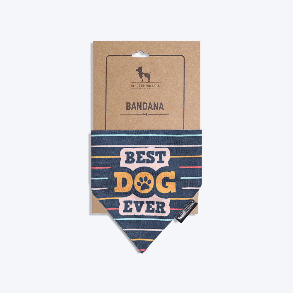 HUFT Best Dog Ever Bandana-4