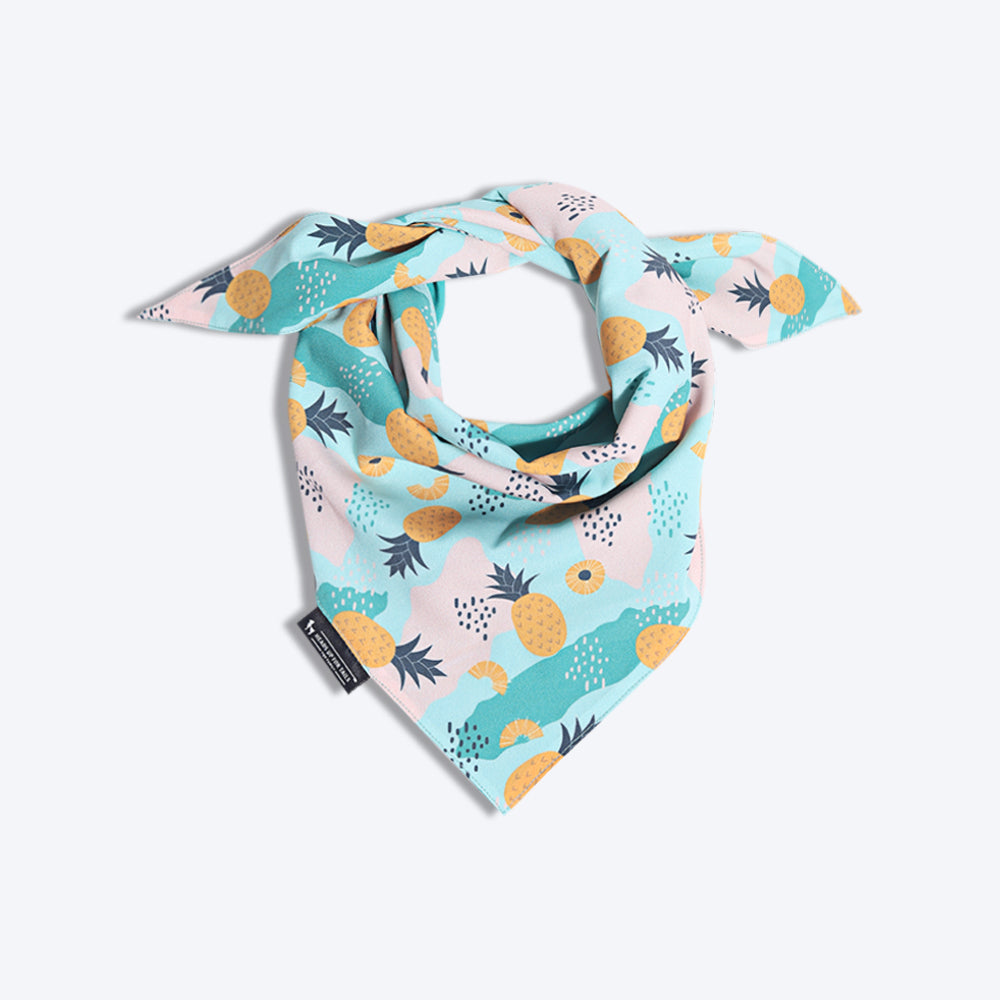 HUFT Modern Art Knot Dog Bandana - Heads Up For Tails