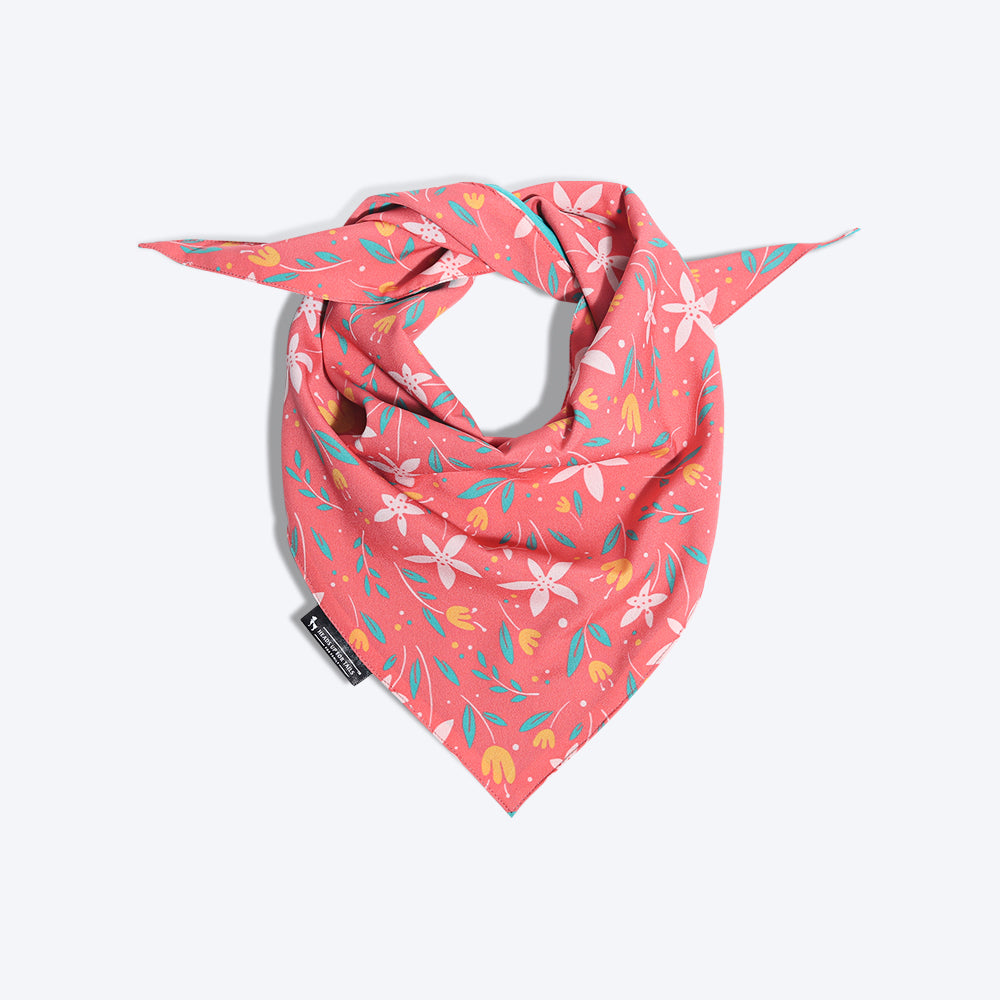 HUFT Summer Rupture Knot Dog Bandana - Heads Up For Tails