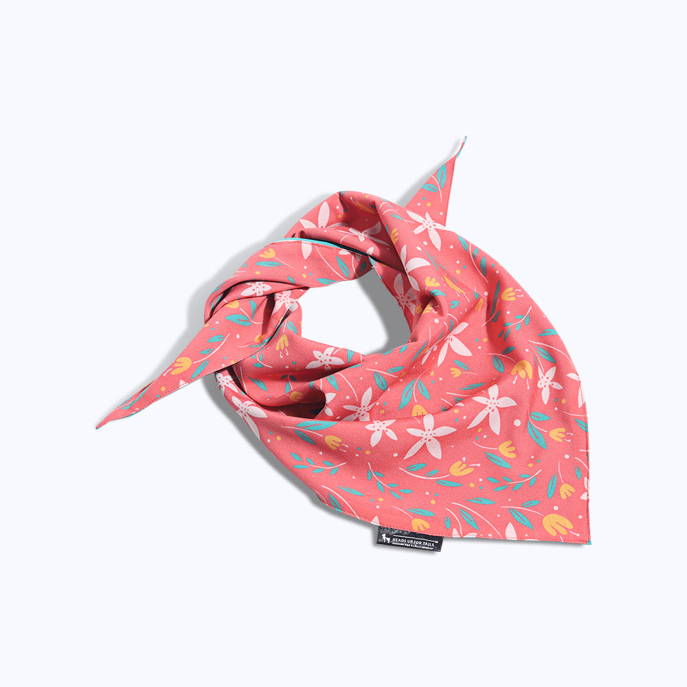 HUFT Summer Rupture Knot Dog Bandana-2