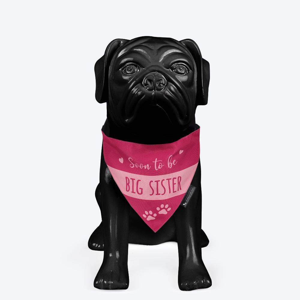 HUFT Soon To Be Big Sister Dog Bandana - Heads Up For Tails