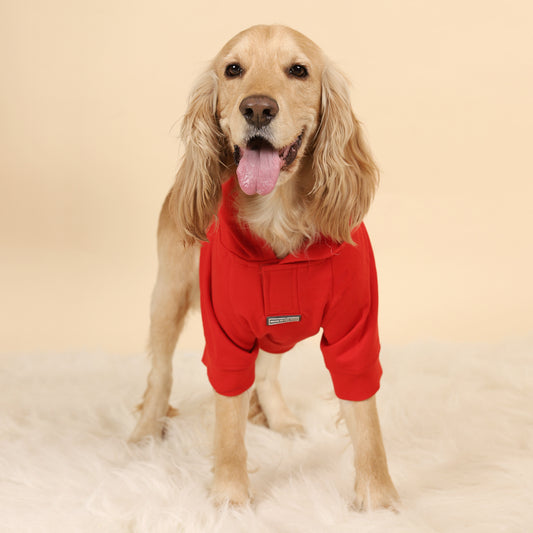 HUFT Sweatshirt For Dogs - Red