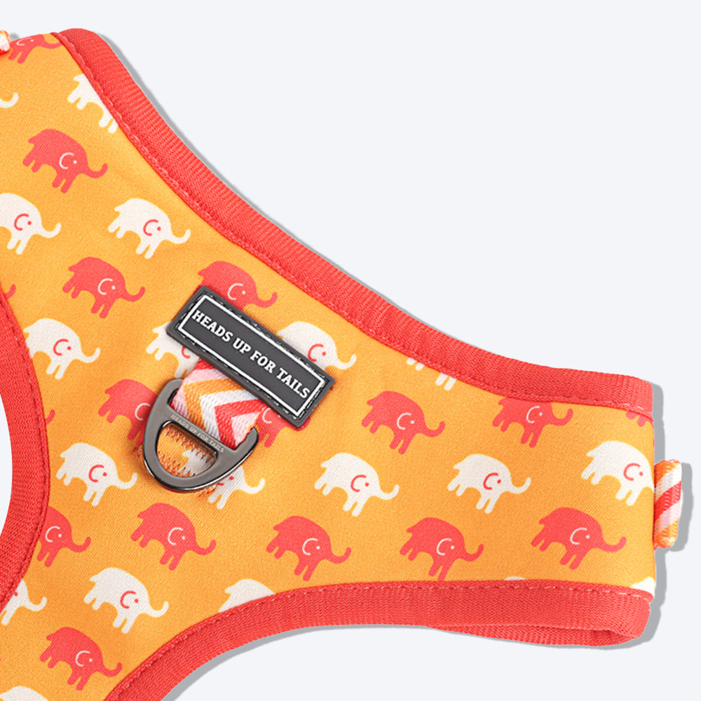 HUFT Summer Legacy Printed Harness - Heads Up For Tails