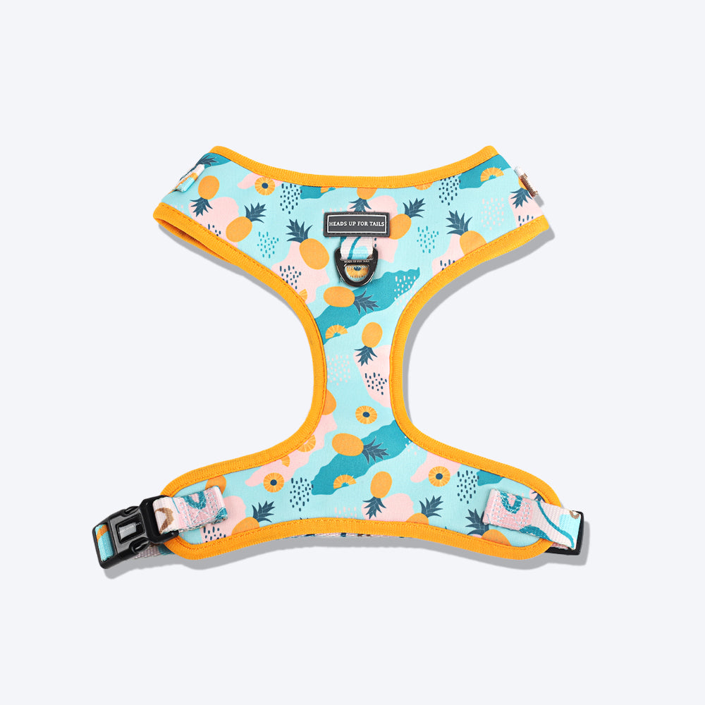 HUFT Modern Art Printed Harness - Heads Up For Tails