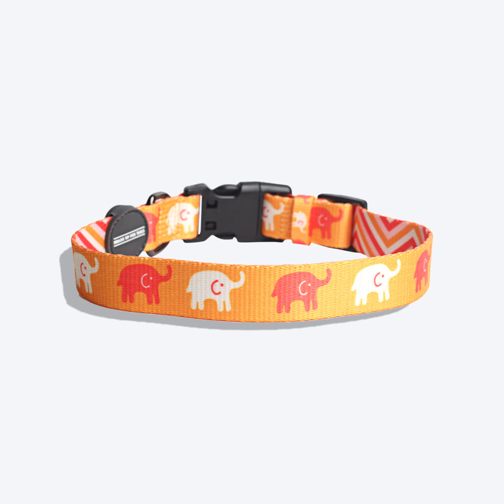 HUFT Summer Legacy Printed Collar - Heads Up For Tails