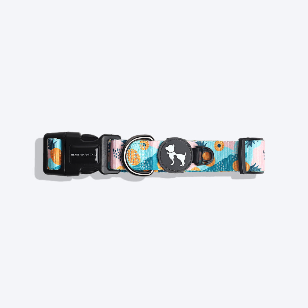 HUFT Modern Art Printed Dog Collar - Heads Up For Tails