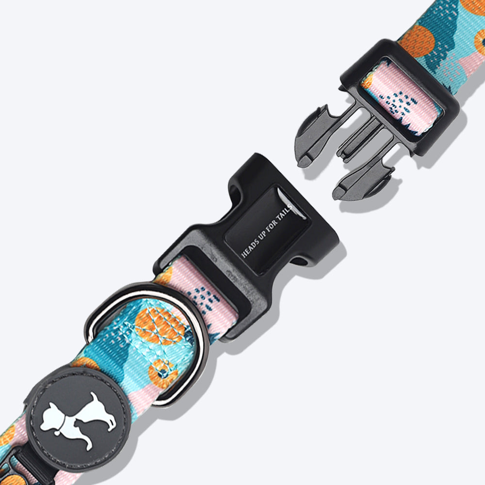 HUFT Modern Art Printed Dog Collar - Heads Up For Tails
