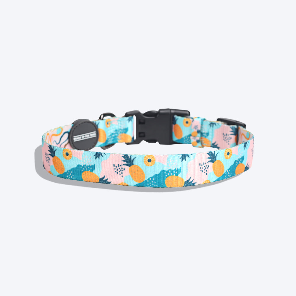 HUFT Modern Art Printed Dog Collar - Heads Up For Tails